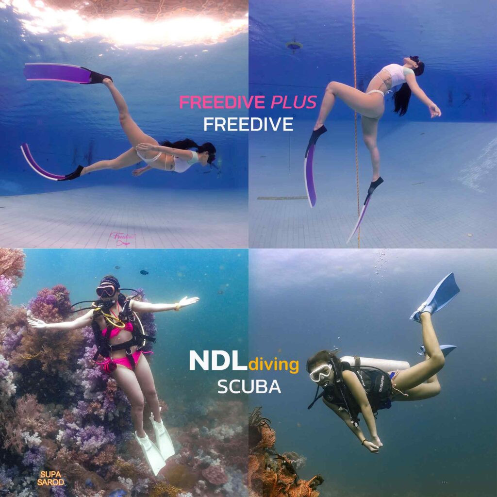 freedive-freediveplus-scuba-ndldiving