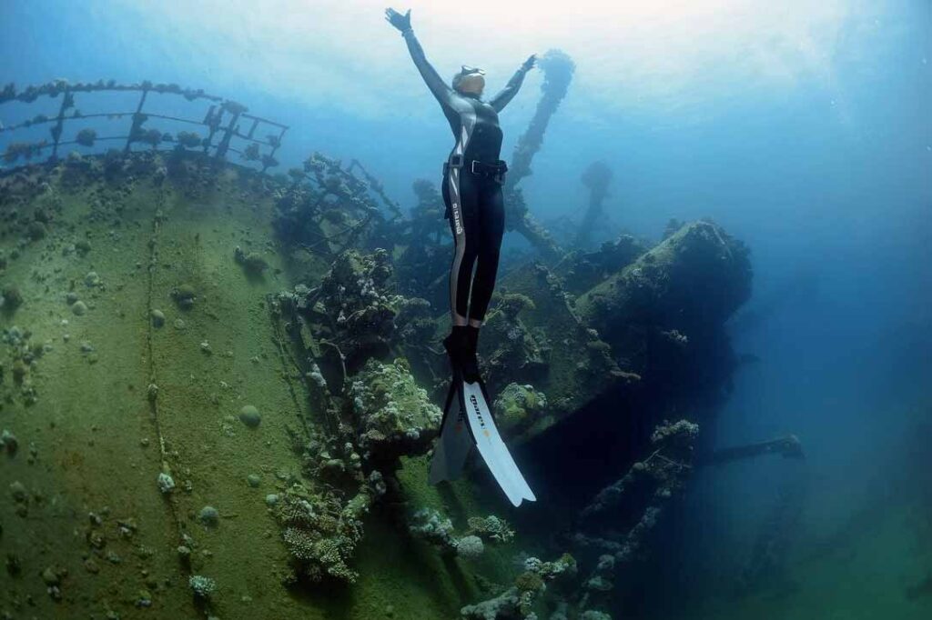 Your-Freediving-Career